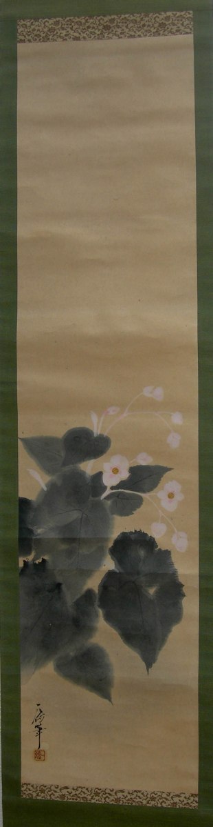 Colección Pájaro Profeta