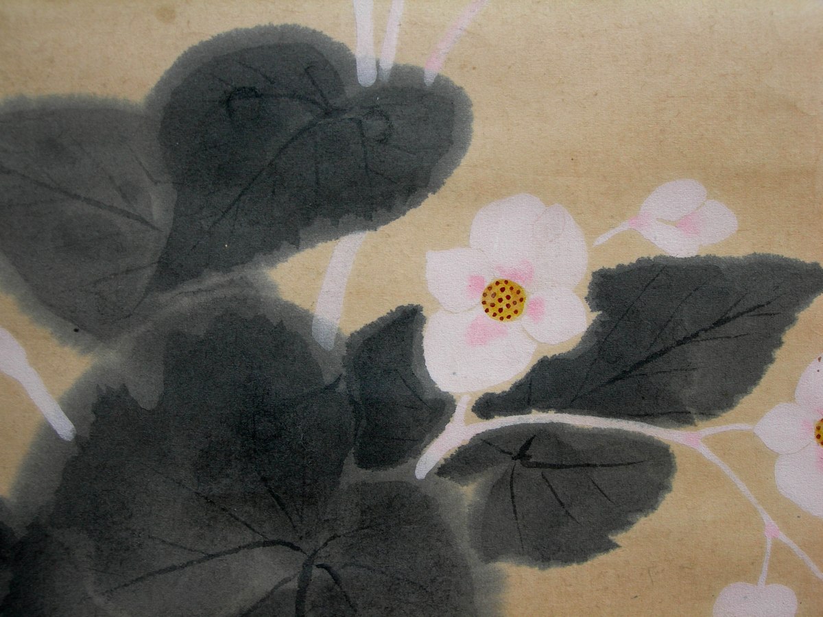 Colección Pájaro Profeta