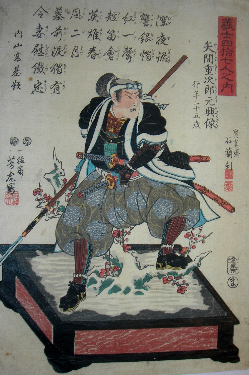 Colección Pájaro Profeta