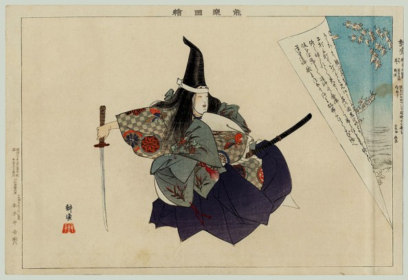 Colección Pájaro Profeta