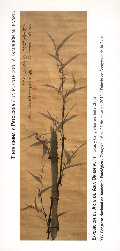 Tinta china y Patología1